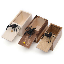 Prank Spider With a Box