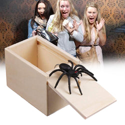 Prank Spider With a Box